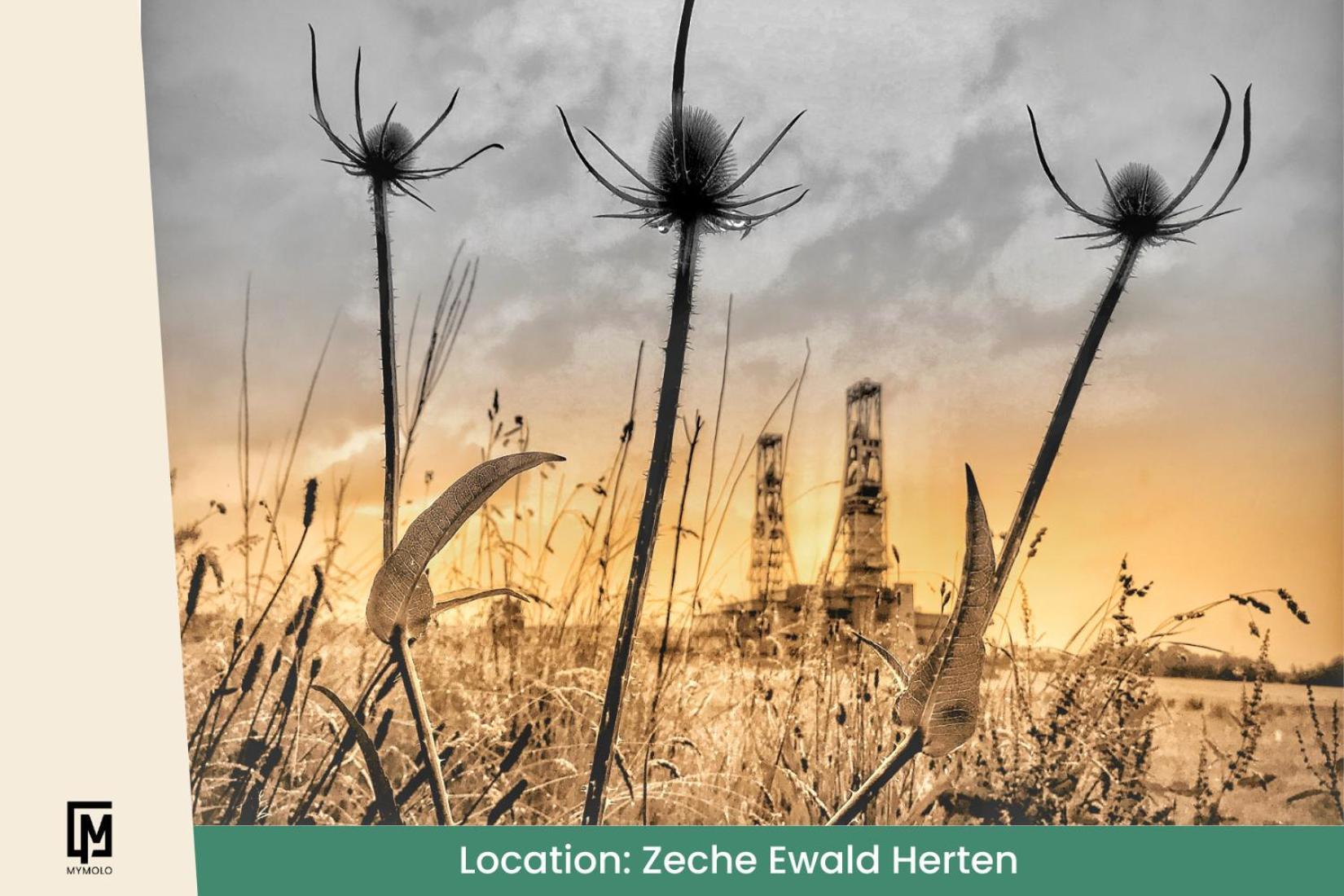 Glamping In Der Zeche Ewald Herten Herten  Extérieur photo